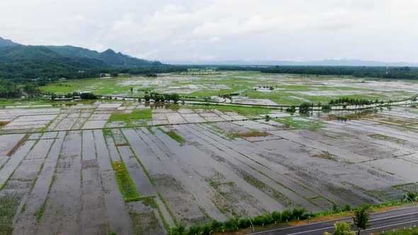 Irrigated rice fields of Kebumen district in Indonesia. Aerial forward alt