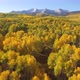 Fall colors in Crested Butte, Colorado - VideoHive Item for Sale