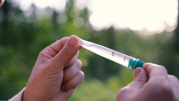 Male Hands of a Biologist Closeup Examines a Forest Mushroom in a Test Tube