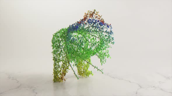 The Concept of Nature and Animals alt