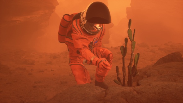 An Astronaut Discovered A Plant On Mars