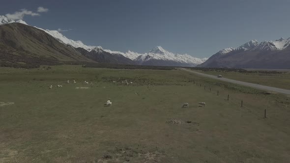 Aoraki/Mt Cook