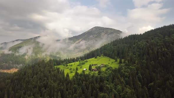 Aerial view of green Carpathian mountains covered with evergreen spruce pine forest alt