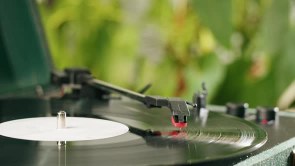 Vinyl Disk Closeup alt