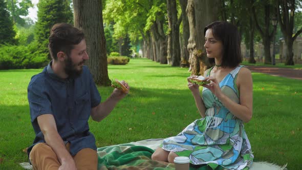 The Guy with the Girl Eat Sandwiches with Salad on a Picnic alt
