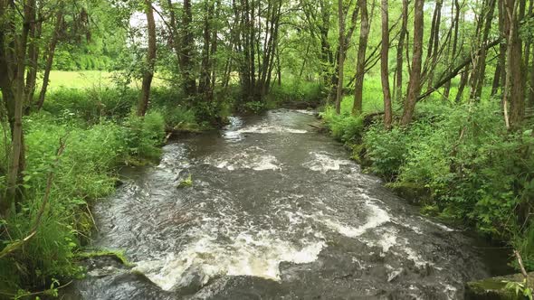 Fast and clear river flowing in a forest area alt