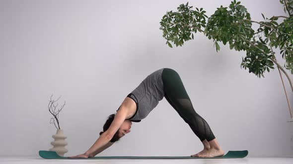 An Adult Slender Woman Practices Classical Yoga Asanas alt