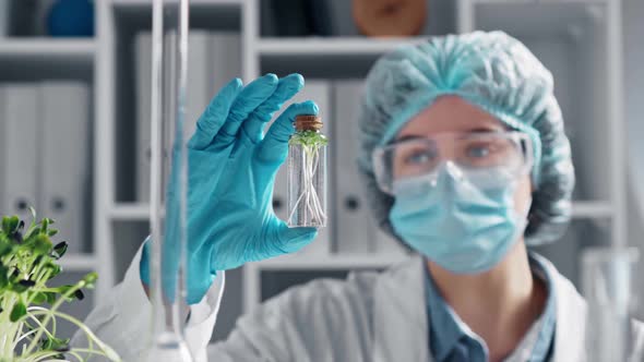 Scientist With Sprout Based Natural Medicine Research, Natural, Organic, Extracts In Glassware alt