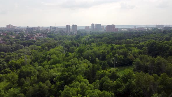 Aerial view green summer Sarzhyn Yar, Kharkiv city