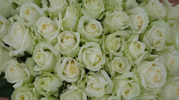 White Roses Top View