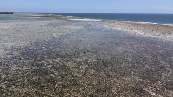 Low Tide in the Ocean Near the Coast of Zanzibar Tanzania Slow Motion alt