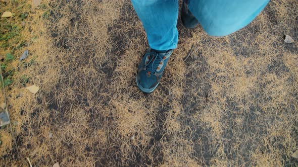 Man Walks on Forest Path Grass