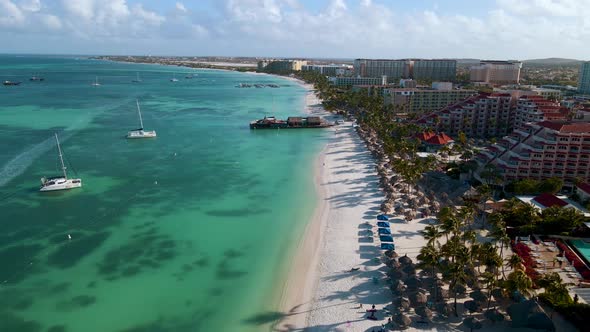 Palm Beach Aruba Amazing Tropical Beach with Palm Tree Entering the Ocean Against Azur Ocean Gold alt