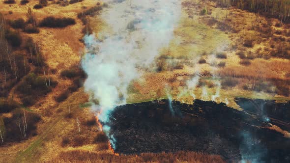 Wild Open Fire Destroys Grass alt