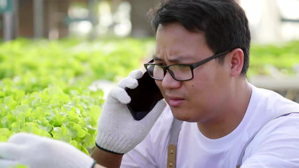 Close up hands of farmer taking photo to record and check quality of hydroponic vegetables alt
