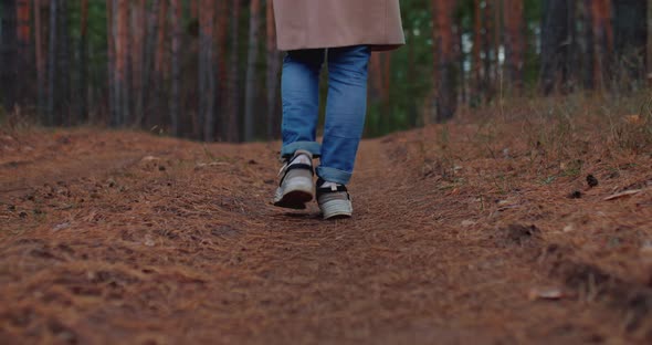Women's Feet in Sneakers are Walking Along a Forest Road Walking Along a Path alt
