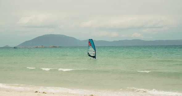 View of the City Beach and Active People Practicing Kite Surfing and Windsurfing alt