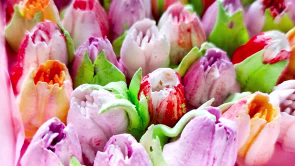 sweet tulips