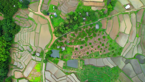 Aerial view of drones flying over rice terraces alt