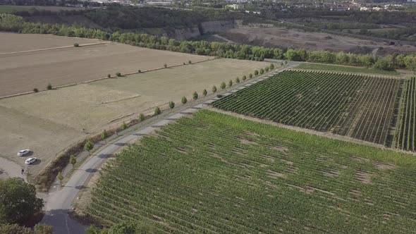 Aerial view vineyards green agricultural fields trees summer rural landscape nature village Germany alt