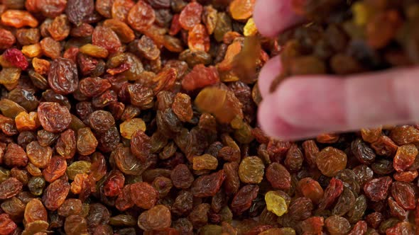 Hand Pouring Raisins in a Pile Slow Mo Closeup