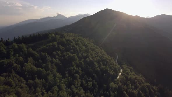 Wood Forest Mountain Summer Sunny Sunset or Sunrise Dawn or Dusk with Road Aerial Drone Back Flight