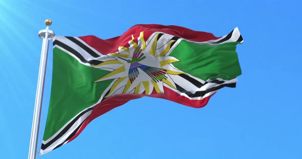 Santo Domingo de los Tsachilas Province Flag, Ecuador alt