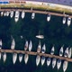 Istanbul Maltepe Bosphorus Marina Aerial View - VideoHive Item for Sale