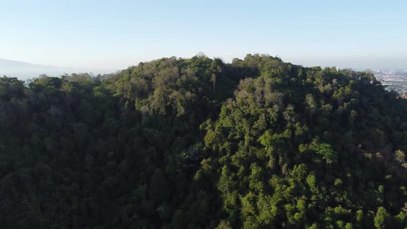 Aerial view forest in sun light shadow alt