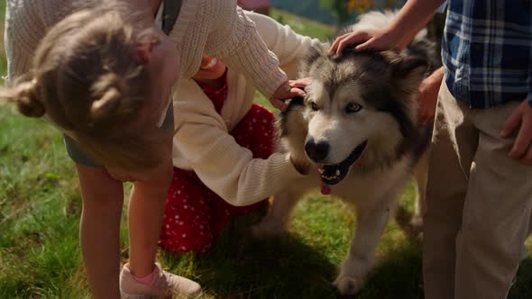 People Hands Petting Pet Closeup alt