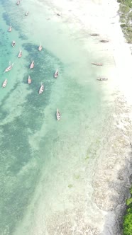 Vertical Video of the Ocean Near the Coast of Zanzibar Tanzania alt