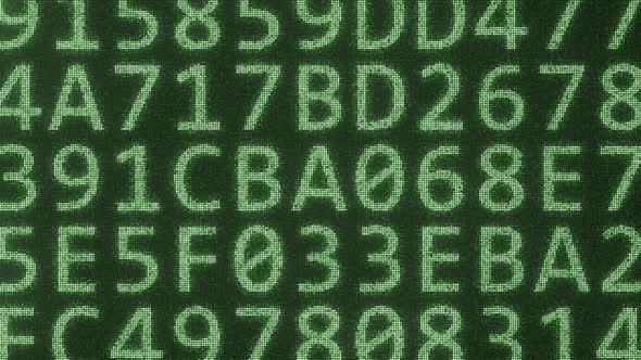 DIGITAL Text Consisting of Many Symbols on Computer Monitor alt
