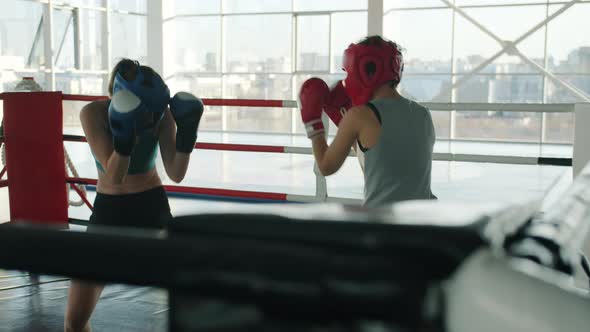 Slow Motion of Active Young Women Boxing Wearing Safety Helmets and Gloves Indoors in Gym alt