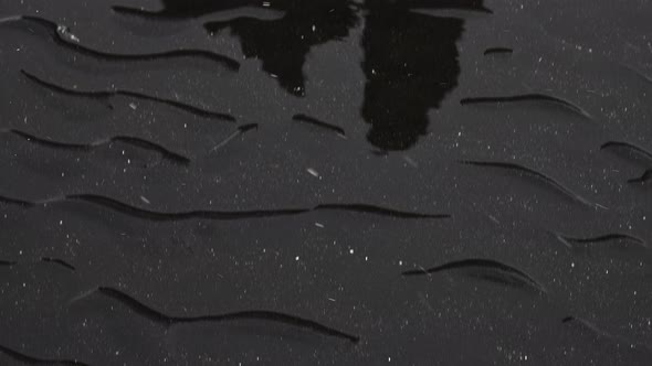 Seawater And Rippled Black Beach And Hvitserkur Sea Stack alt