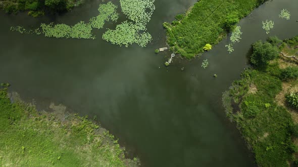 Flight Over The City Park. You Can See The Lilies On The River. Aerial Photography. alt