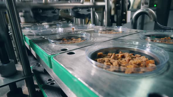 Bread Snacks in Plates Are Getting Closed with Foil Pieces. Packing Process at Food Factory. alt