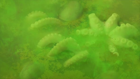 Witches Cauldron Or Weird Alien Food With Green Gas alt