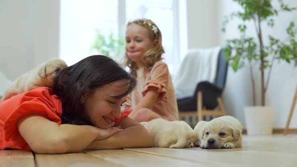 Retriever Puppies Near Little Girl and Her Mom alt
