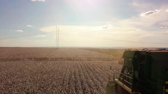 Tractor combine cotton pickers gathering rows of crop - aerial view alt