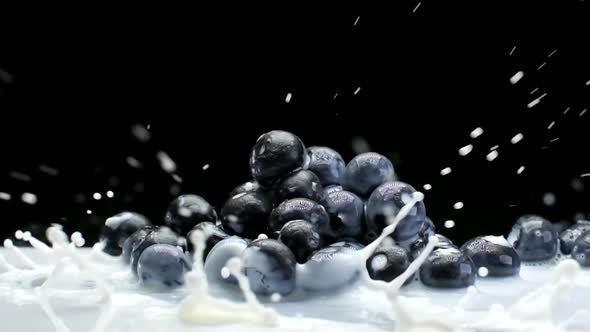 A Yogurt splash in front of Blueberry