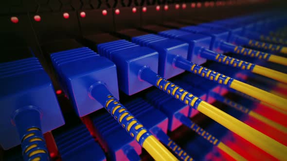 Endless array of optic cables connected to the router ports. Loopable. HD alt