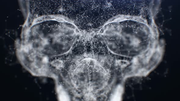 Plexus Skull In 4K alt