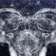 Plexus Skull In 4K - VideoHive Item for Sale