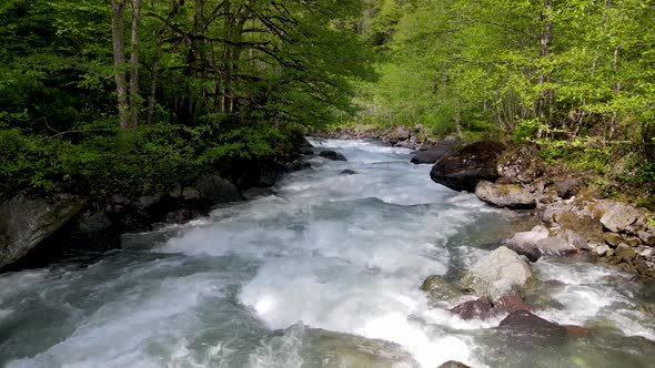 Rainforests And River alt