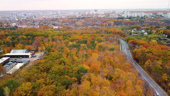 Aerial cars driving road in yellow autumn forest