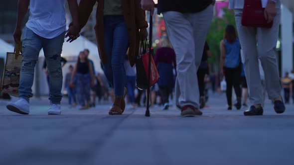 People Walking on A Pedestrian Street alt