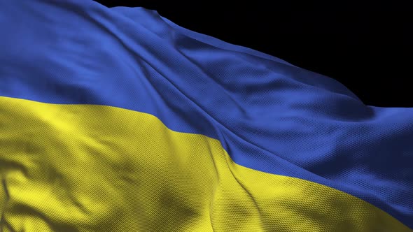 Ukraine flag waving in the wind with highly detailed fabric texture. Seamless loop