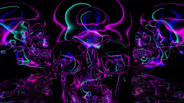 Glowing Edges Neon Skull 3D Abstract Psyhodelic Particle Trails Animation 4K Seamless Loop alt