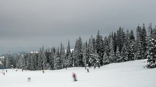 Mountain Slope with Skiers alt