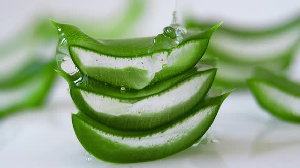 Slices of Fresh Green Aloe Vera Plant Stacked Pieces of Leaves on a White Background alt